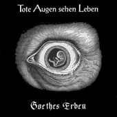 Tote Augen Sehen Leben